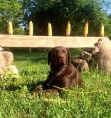 10383518-298627140262164-8426494494972712383-n-2_1