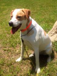 10442360-298068406984704-4408286690895587897-n-1-2_1