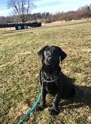 16807413-584155968375945-2011476256671288357-n