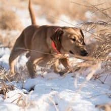 26815077-1815131998786154-7780464956617446357-n