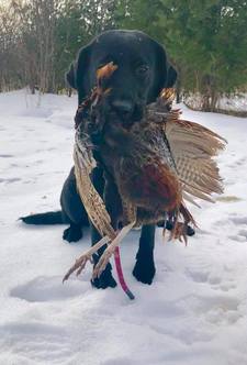 29356830-835814843210055-7992475984265534430-n