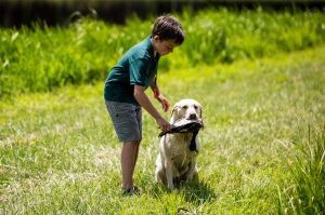 Handler Training