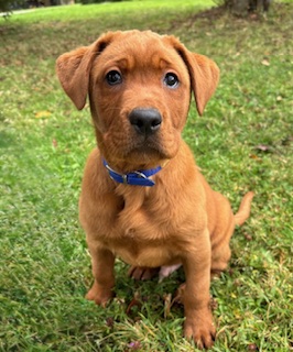 78309996631__1FAE4CCE-80F6-4520-BA30-A71002F673F0