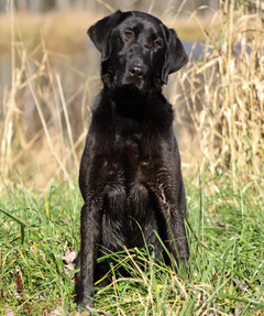 31178D9D-B4DC-417E-9207-4A88AE671C0D