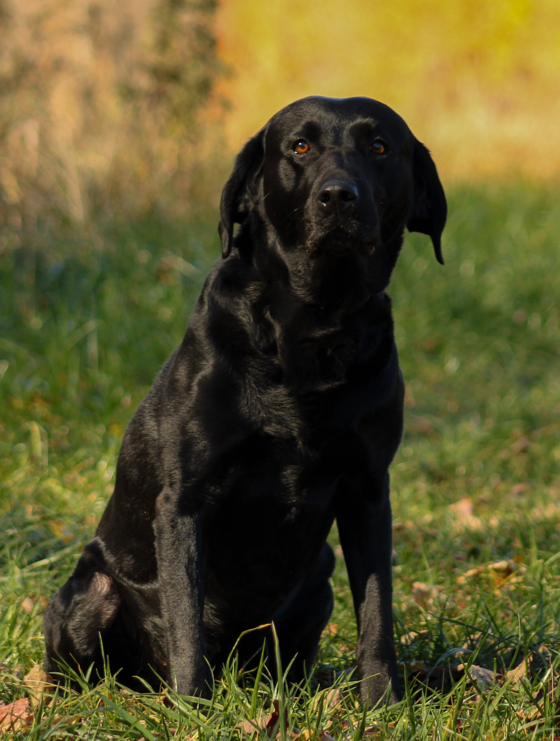 33EFC837-102D-46F7-AADD-9530E3B675E6