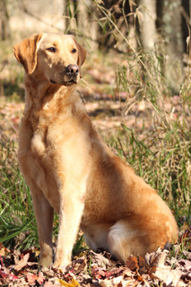 4C3D8364-136A-42E8-84BC-C3C4E994F121