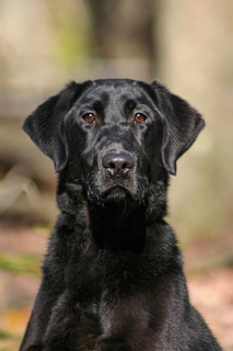 68CBCB01-E856-4FC6-A2D4-15383E0097B6