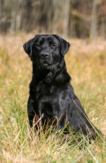 6F08E1A3-1778-457A-98E7-9470CC65A514 2