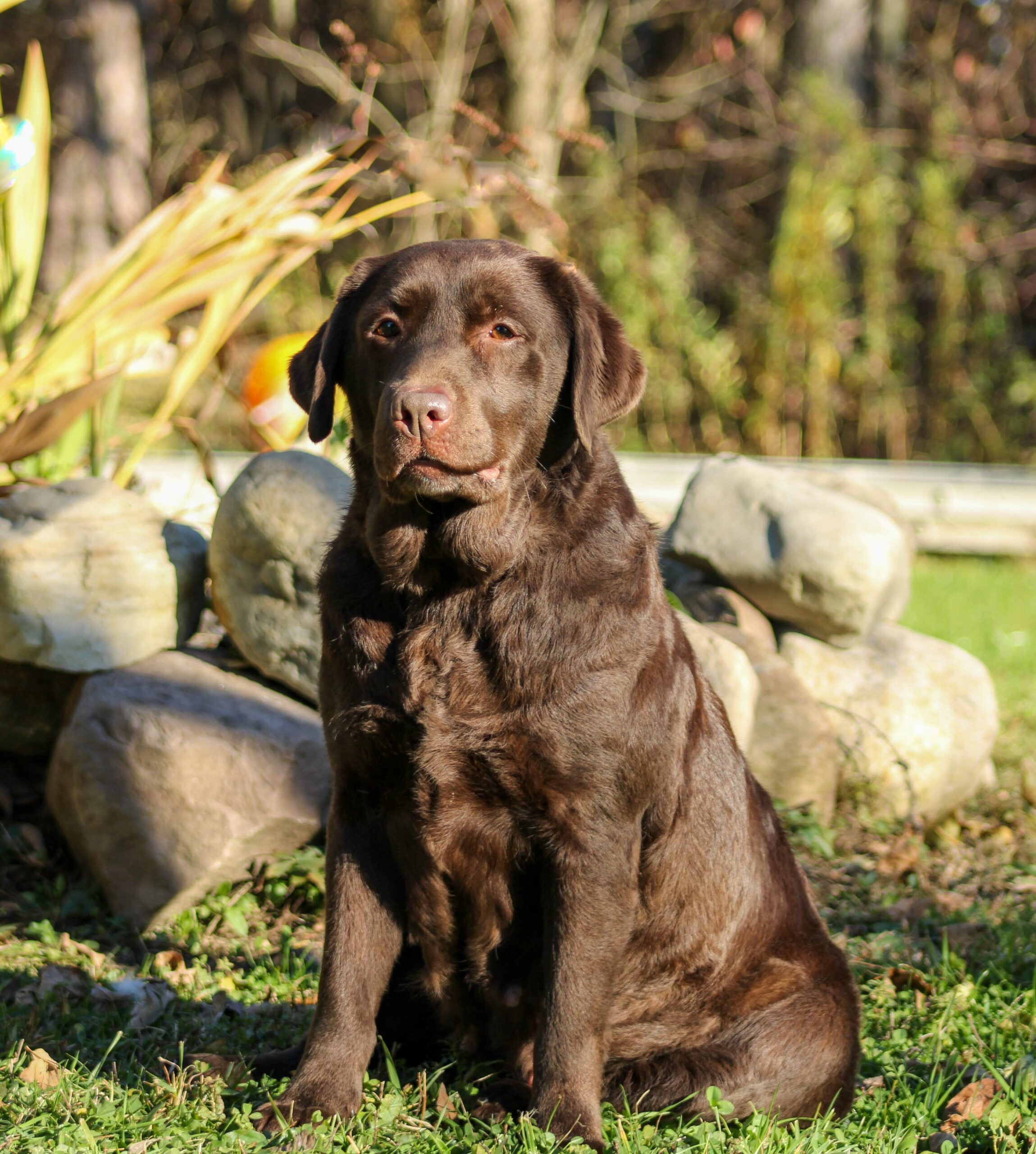 9EC8B10C-E785-4261-867D-C6450F890D7B