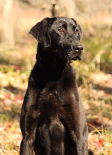 A8E5DB9A-6459-4D78-9725-549DE71E6349