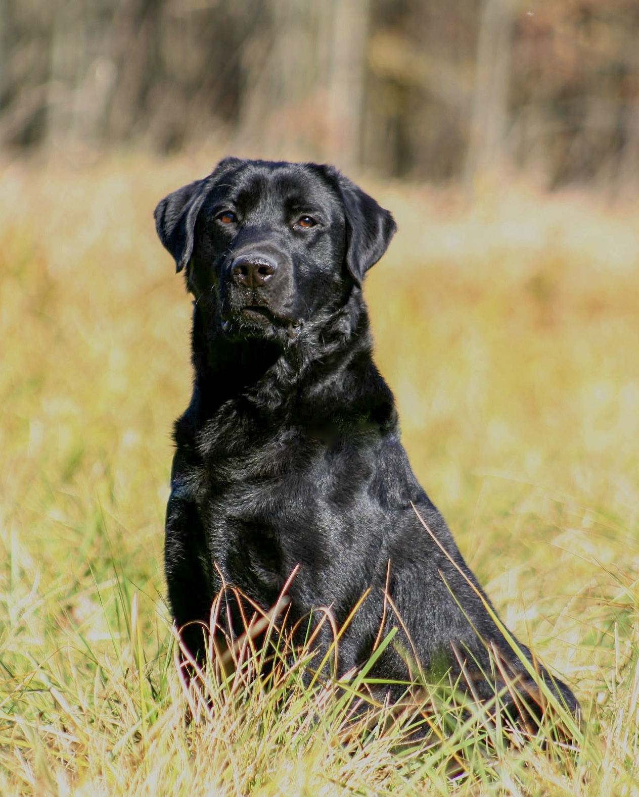 B488205F-F198-4872-8A19-DBC8354EB3E7