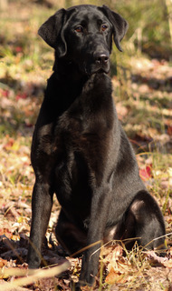 BF66FB11-C7CC-4E9D-8B6F-2455F5B23B83