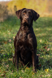 C4D374A5-1E1C-4A4E-A0B0-4F78264EC086