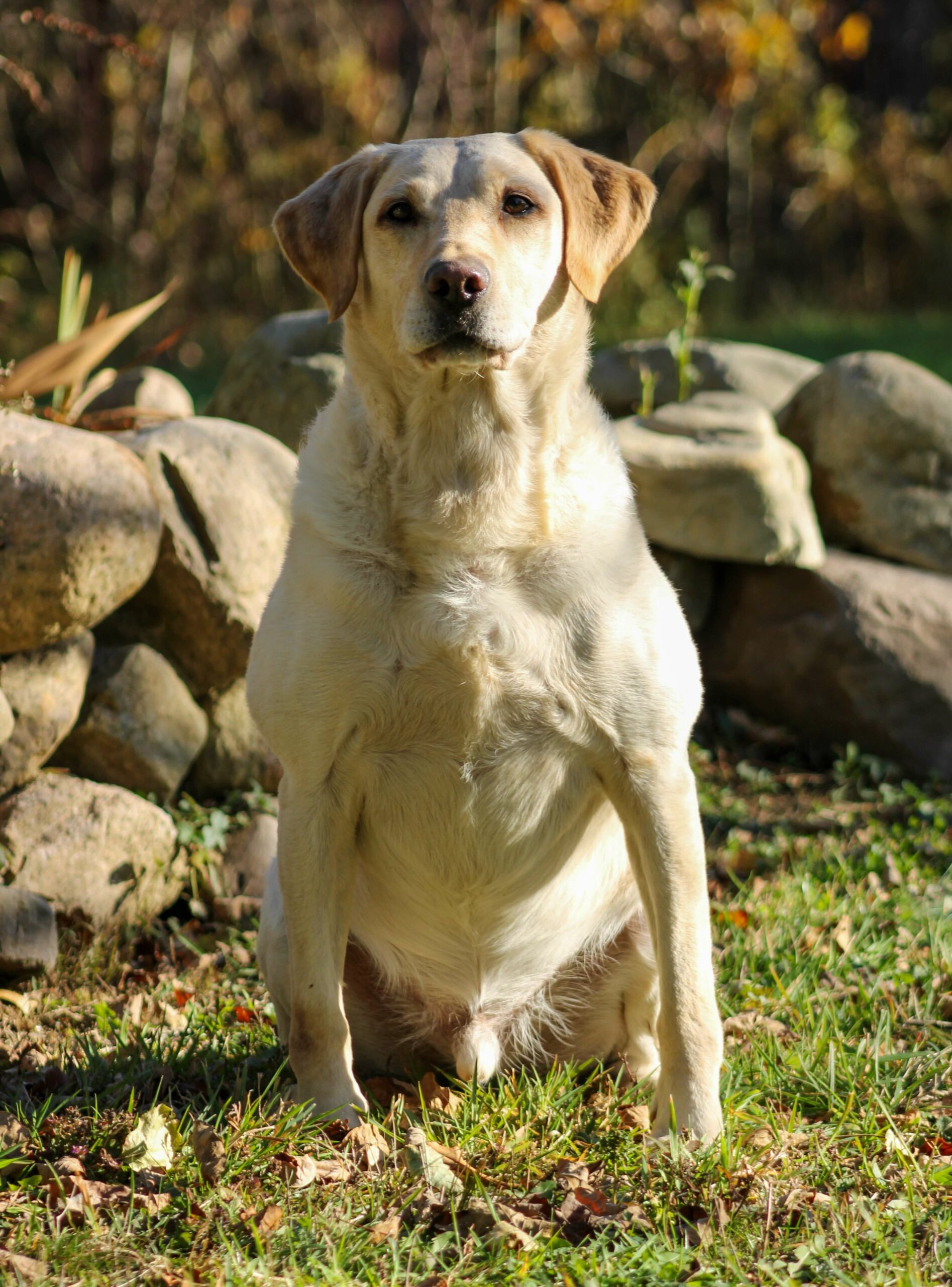 E6174BB6-DB98-493C-80C9-72CE9268D279