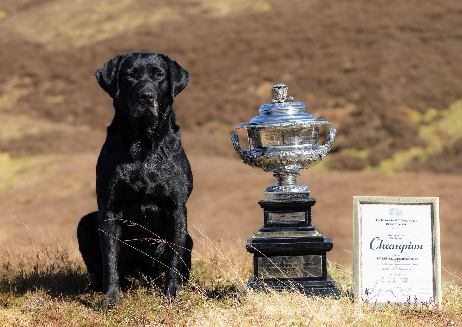 622799300_4244481255816139_5345589853601180696_n