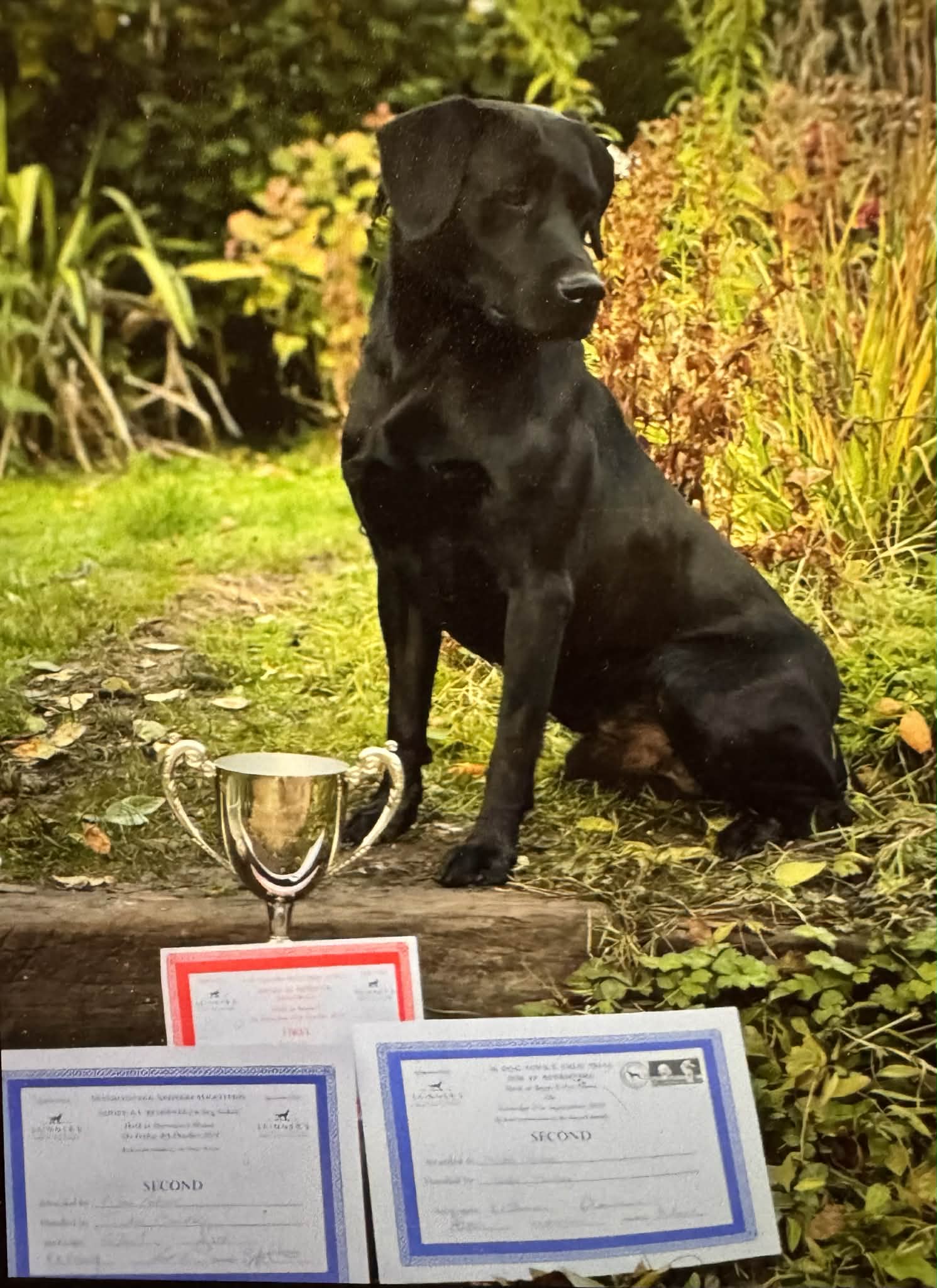 BE8F7045-DA35-4D84-BCFE-399194CA2B54